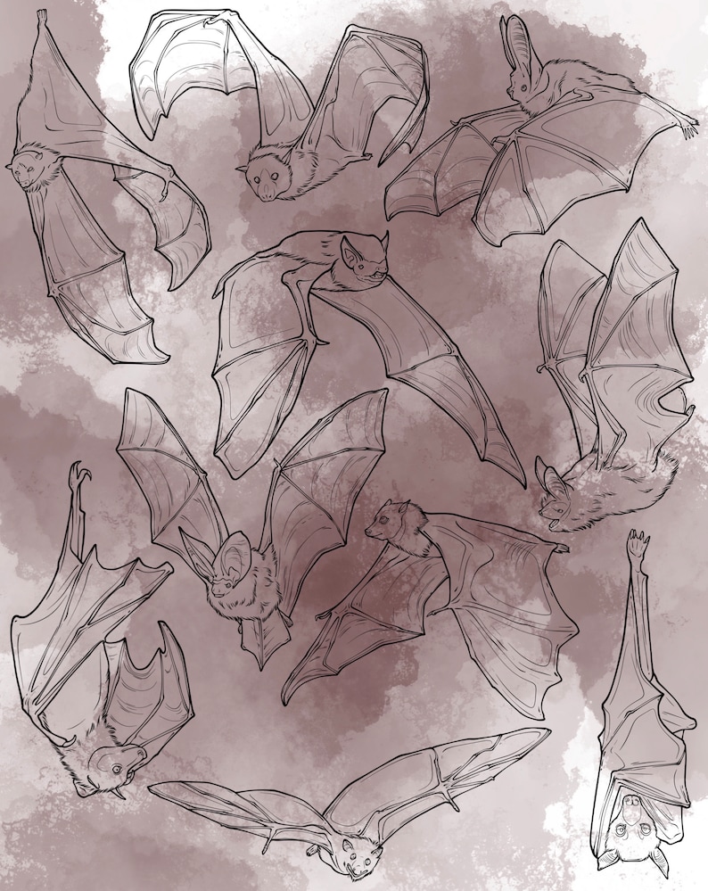 Bat Procreate stämpelset 1 - 20 penselstämplar med fladdermusvingar och däggdjur | Illustrationer | Tatueringsdesigner | Digitalt penselpaket | Halloween bild 3
