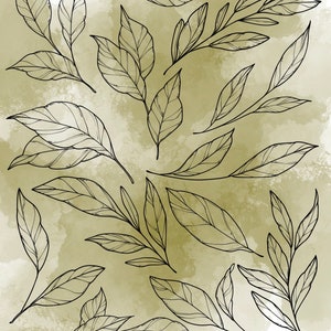 Leaf Procreate Stamp Set 1 - 25 Leaf Leaves Floral Nature Brush Stamps ...