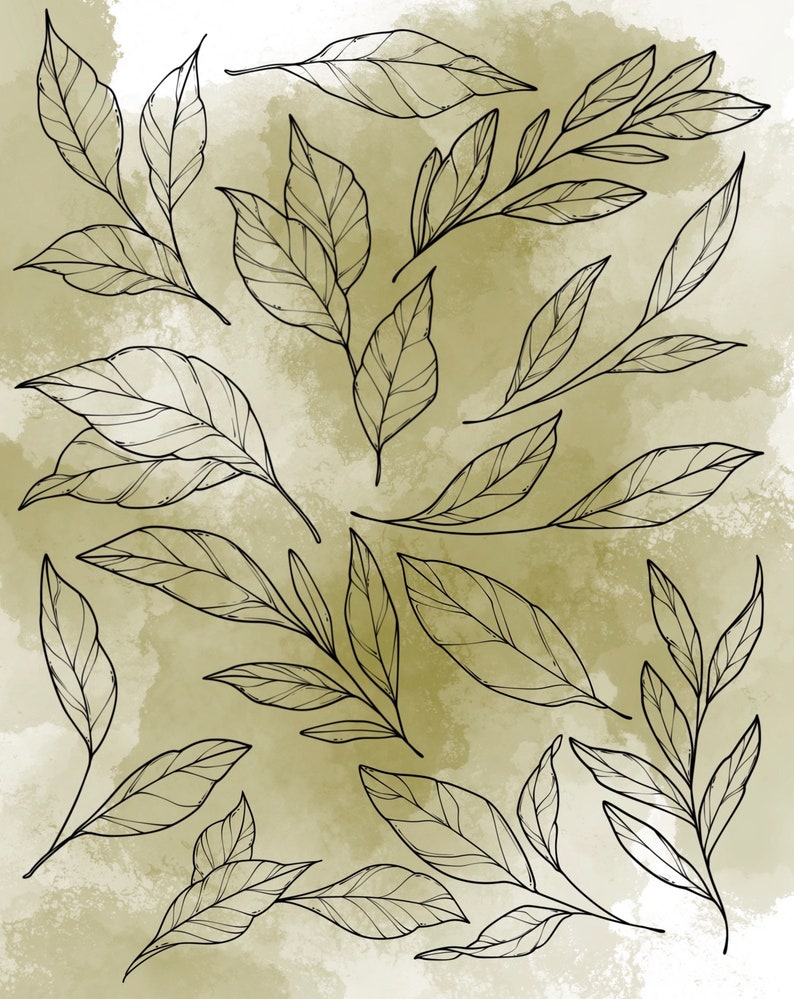 Leaf Procreate Stamp Set 1 - 25 Leaf Leaves Floral Nature Brush Stamps ...