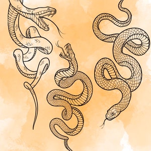 Jeu d'estampes Snake Procreate 1 25 tampons pinceaux Serpent Serpent Illustrations Dessins de tatouage Pack de pinceaux numériques Procreate image 6