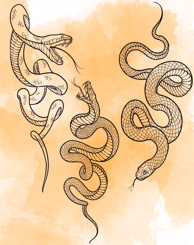 Jeu d'estampes Snake Procreate 1 25 tampons pinceaux Serpent Serpent Illustrations Dessins de tatouage Pack de pinceaux numériques Procreate image 6