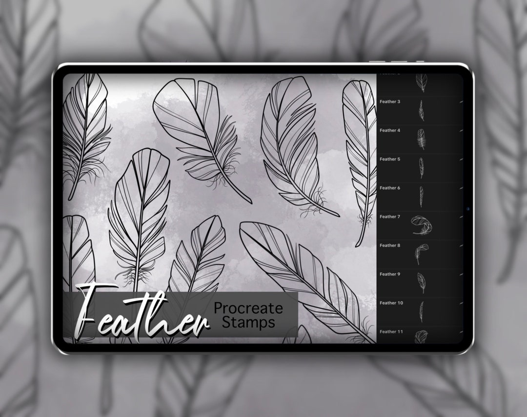 Feather Procreate Stamp Set 1 - 25 Bird Feathers Brush Stamps ...
