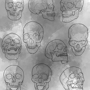 Human Skull Procreate Stamp Set 1 20 Skull and Jaw Bone Brush Stamps Illustrations Tattoo Designs Procreate Digital Brush Pack image 2
