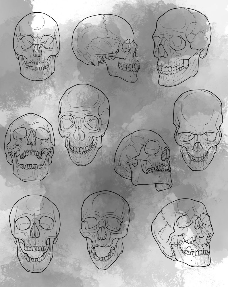 Human Skull Procreate Stamp Set 1 20 Skull and Jaw Bone Brush Stamps Illustrations Tattoo Designs Procreate Digital Brush Pack image 2