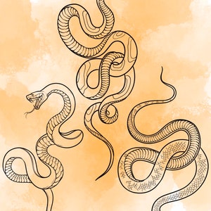 Jeu d'estampes Snake Procreate 1 25 tampons pinceaux Serpent Serpent Illustrations Dessins de tatouage Pack de pinceaux numériques Procreate image 8