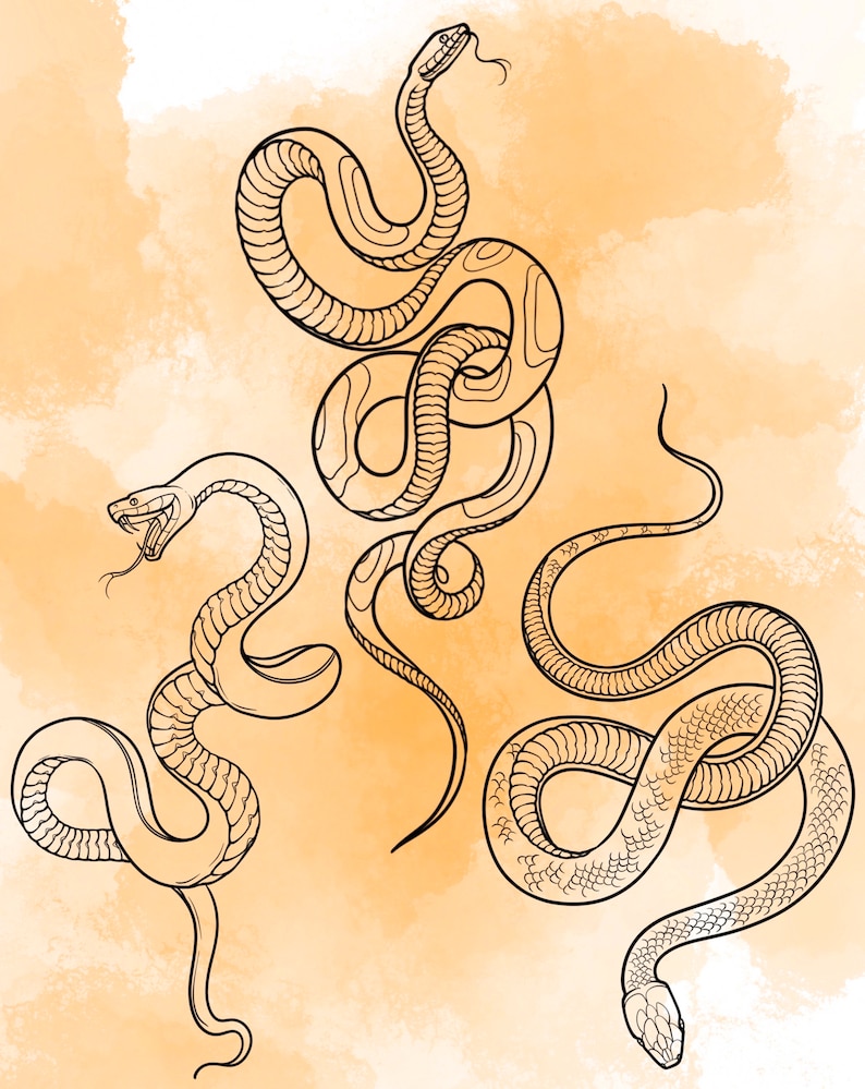 Jeu d'estampes Snake Procreate 1 25 tampons pinceaux Serpent Serpent Illustrations Dessins de tatouage Pack de pinceaux numériques Procreate image 8