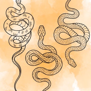 Jeu d'estampes Snake Procreate 1 25 tampons pinceaux Serpent Serpent Illustrations Dessins de tatouage Pack de pinceaux numériques Procreate image 3