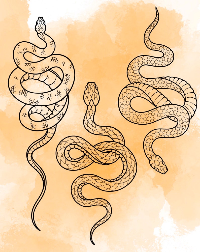 Jeu d'estampes Snake Procreate 1 25 tampons pinceaux Serpent Serpent Illustrations Dessins de tatouage Pack de pinceaux numériques Procreate image 3