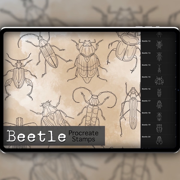 Käfer Procreate Stempel Set 1 - 25 Käfer Insektenpinsel Stempel | Illustrationen | Tattoo Designs | Procreate Digital Brush Pack