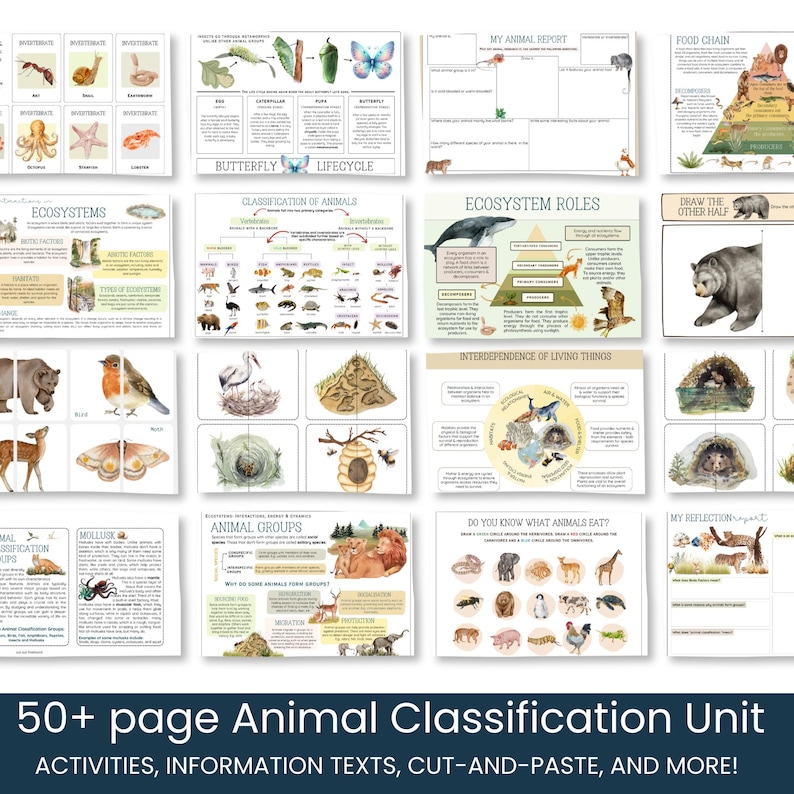 Animal Classification Unit Study Printable, Homeschool Science ...