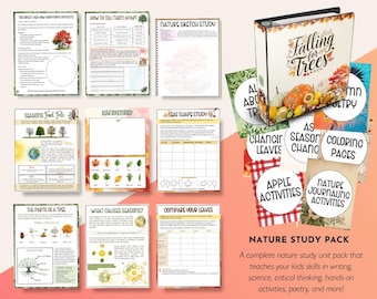 Unidad de estudio de la naturaleza en otoño / Actividades sobre árboles, hojas y manzanas (Descarga digital)