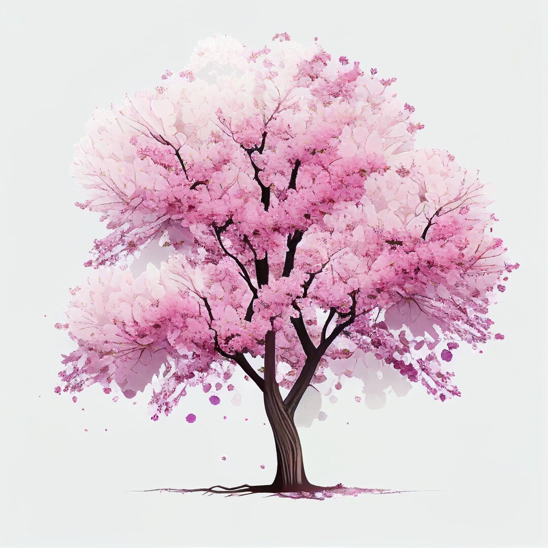Pink Cherry Blossom Tree on White Background - Etsy Australia