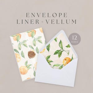 Wedding Envelope Liner Tropical, Citrus Orange Vellum Wrap, 5x7 Invitation Jacket Template, A7 Euro Square Flap, INSTANT DOWNLOAD, WED15