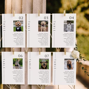 Puede incluir: Seis tarjetas de mesa de boda rectangulares blancas con clips dorados, cada una con una fotografía de animal única, un número de mesa del 02 al 08 y una lista de nombres que incluye a Elaina Trophy, Thomas Franklin y Charlie Murphy en negro.