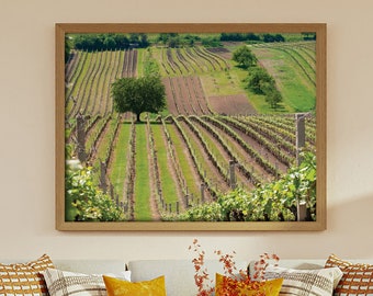 PRINTABLE Captivating Photo of a Tree Embraced by Vines | Embrace the Beauty of Nature