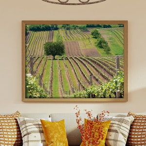 PRINTABLE Captivating Photo of a Tree Embraced by Vines | Embrace the Beauty of Nature