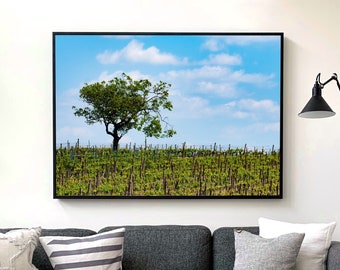 PRINTABLE Captivating Photo of a Tree Embraced by Vines | Embrace the Beauty of Nature