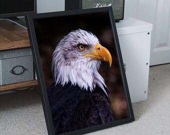 PRINTABLE Amazing Photo of an Eagle Close up | Bring the Atmosphere of Wild Nature to Your Home with This Photo