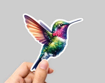 Hummingbird Sticker - Colorful Vinyl Decal for Laptops, Water Bottles & More