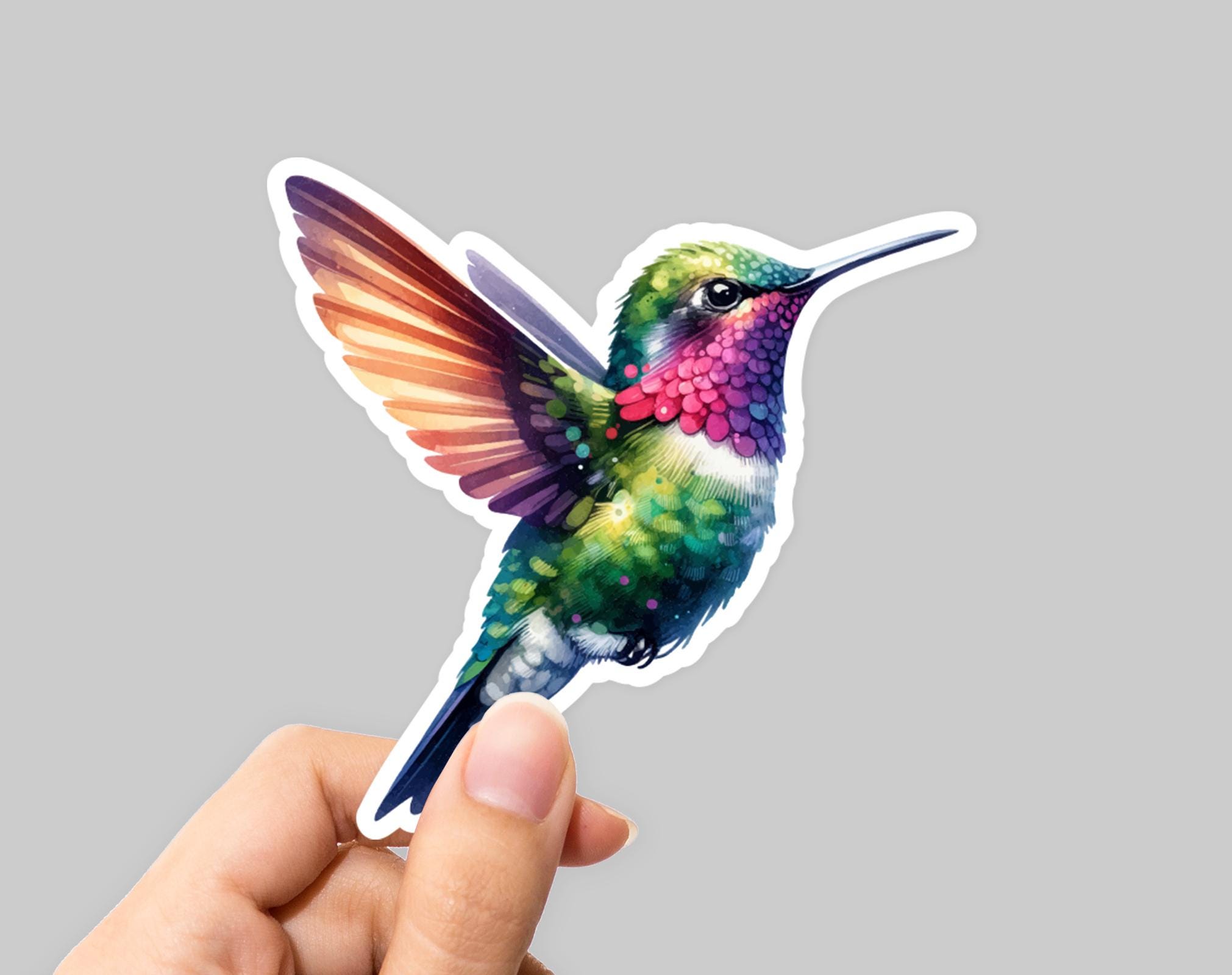 Hummingbird Sticker - Colorful Vinyl Decal for Laptops, Water Bottles ...