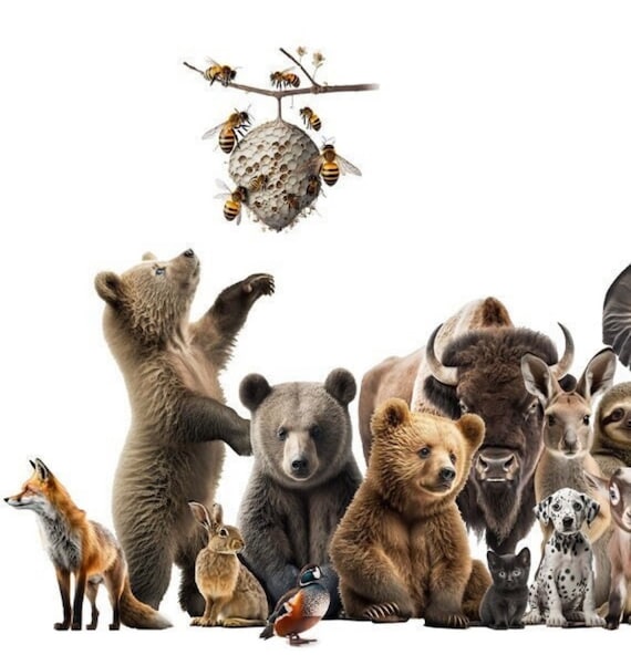 AI Photo Composite of a Zoo of Animals, Midjourney Art AI Photo Composite of a Zoo of Animals, Midjourney Art