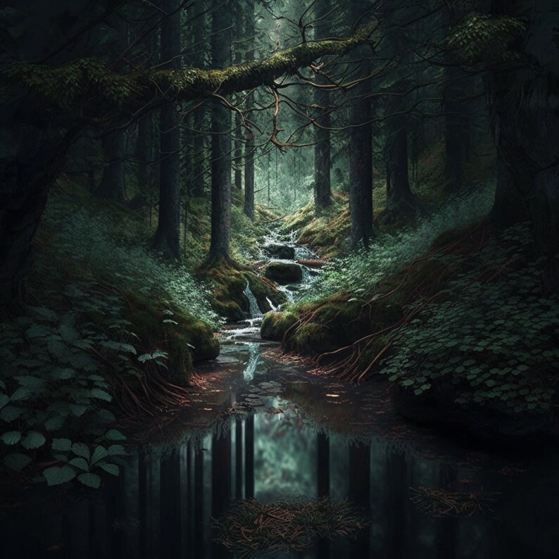 May include: A dark, mossy forest path leads to a small stream with a waterfall. The water is clear and reflects the surrounding trees. The scene is peaceful and serene.