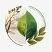 Eco Galia
