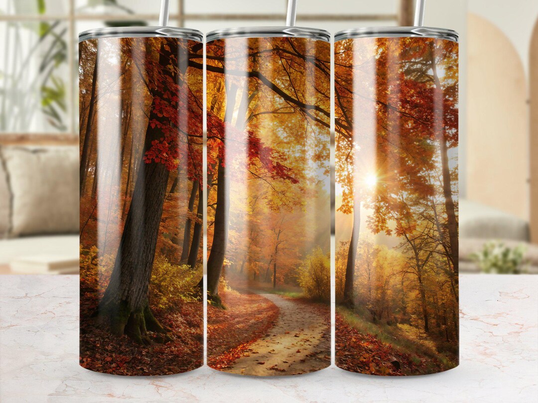 Autumn Forest Path Sunlight Tumbler Wrap Digital File Fall Foliage ...