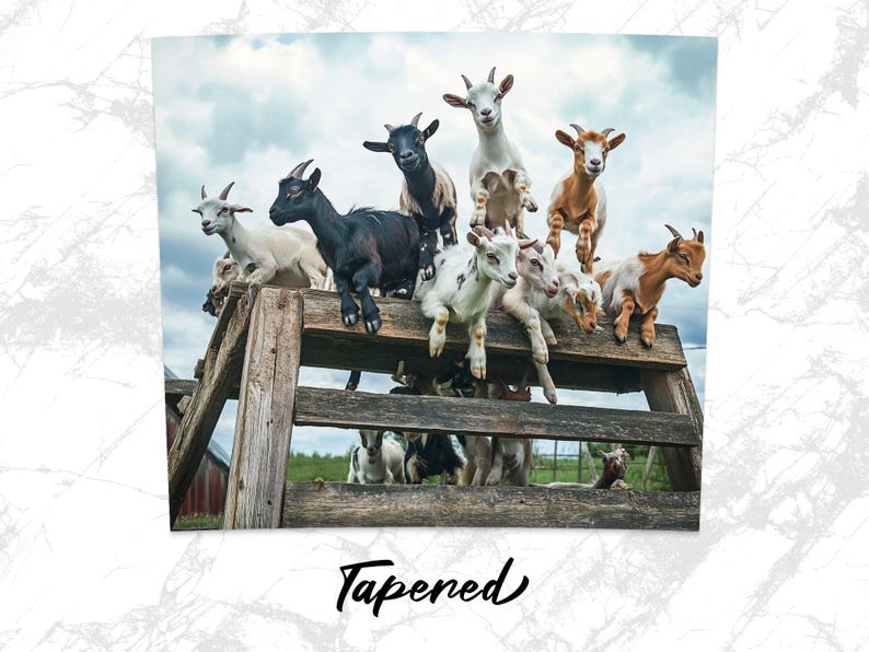 Schattige geitenhouder wrap, rustieke boerderijdieren, 20oz boerderij png, speelse digitale download, landelijk decor, gezellige pastorale charme afdrukbaar afbeelding 3
