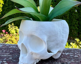 Skull Planter: Gothic Home & Office Decor, Succulent Holder