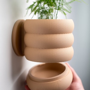 Könnte beinhalten: Ein beigefarbener, strukturierter, wandmontierter Pflanzer mit einem abnehmbaren Bodenabschnitt. Der Pflanzer enthält eine grüne Pflanze mit langen, dünnen Blättern.