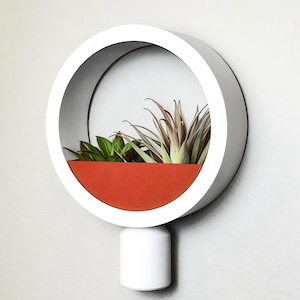 Op de afbeelding: Een witte ronde wandbeplanting met een rode binnenrand. De beplanting heeft een kleine witte cilinder aan de onderkant om op te hangen. De beplanting is gevuld met groene en bruine luchtplanten.