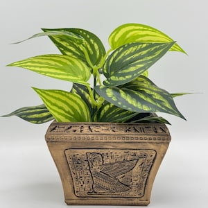 Puede incluir: Una maceta dorada con jeroglíficos egipcios y un diseño de diosa alada. La maceta está llena de una planta verde y amarilla variegada.