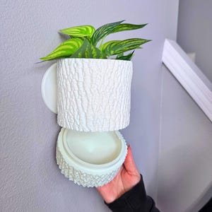 Tree Bark Wall Planter Pot: Rustic Home Garden Decor