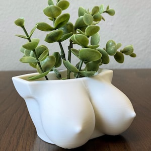 Maceta divertida con forma de seno, soporte único para suculentas para decoración del hogar y la oficina, maceta pequeña y peculiar para cactus, regalo para amantes de las plantas.