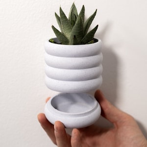 May include: A white ceramic planter with a textured surface and a stacked design. The planter is holding a small green succulent plant.