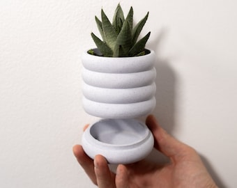 Hanging Wall Planter | Home and Office Decor | Modern Succulent & Air Plant Holder