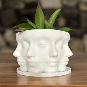 May include: White ceramic planter shaped like four faces, with a green succulent plant inside. The planter has a white saucer.