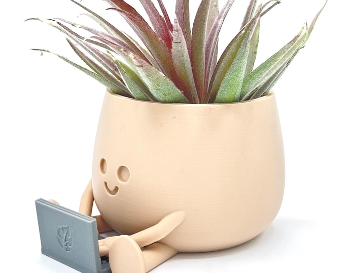 Happy Face Planter, gift desk accessory, fun office decor, creative indoor plant holder
