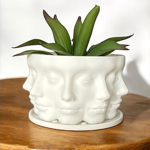 Face Planter - Unique Decorative Succulent, Indoor Plant Pot - Home and Office Decoration