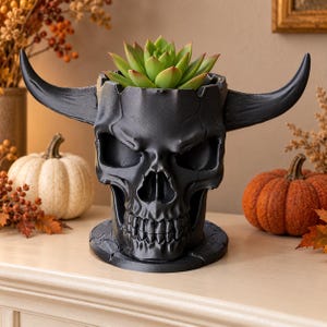 May include: A matte black planter shaped like a human skull with prominent, curved horns extending from the sides. The skull features deep eye sockets, a nasal cavity, and detailed teeth. A green succulent plant is potted inside the top opening.