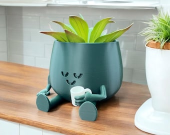 Happy Face Planter Pot, Plant for Home, Office Decor, Coffee Lovers gift, Succulent desk