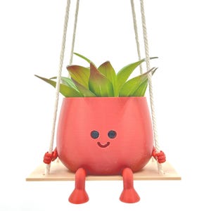 May include: A red hanging planter with a smiling face and legs, holding onto a wooden swing. The planter is filled with a green succulent plant.