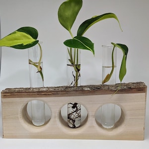 Rustic Wood Propagation Station with Glass Test Tubes – Handmade Plant Holder for Cuttings