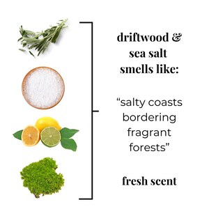 May include: Image showing ingredients and text describing a fresh scent. Sage, salt in a wooden bowl, lemons, and moss are displayed. Text reads "driftwood & sea salt smells like: salty coasts bordering fragrant forests."