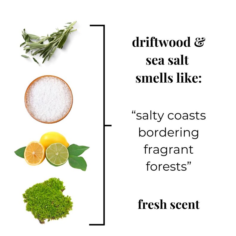 May include: Image showing ingredients and text describing a fresh scent. Sage, salt in a wooden bowl, lemons, and moss are displayed. Text reads "driftwood & sea salt smells like: salty coasts bordering fragrant forests."