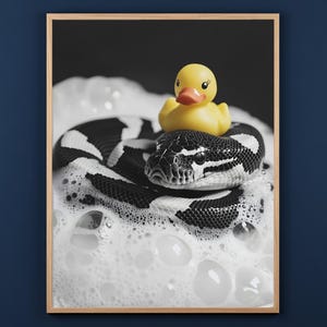 Könnte beinhalten: Ein gerahmter Kunstdruck, der eine schwarz-weiß gemusterte Schlange zeigt, die in weißen Seifenblasen zusammengerollt ist, mit einer kleinen gelben Quietscheente auf dem Kopf der Schlange. Der Druck befindet sich in einem hellen Holzrahmen.