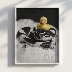 Puede incluir: Impresión enmarcada en blanco y negro que muestra una serpiente en un baño de burbujas con un patito de goma amarillo. La serpiente tiene un patrón en blanco y negro. El patito de goma, con pico rojo, está encima de la serpiente.