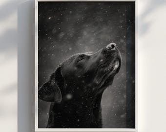 Labrador negro, perro blanco y negro / Arte de descarga instantánea / Descarga digital / Impresión de arte de pared de descarga digital