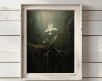 May include: A framed painting of a white orchid with roots growing out of the ground. The orchid is in focus and the background is blurred.